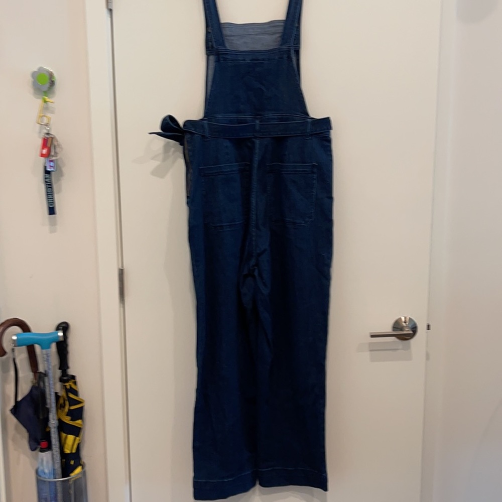 Blue Jean Jumpsuit - Picture 8 of 15